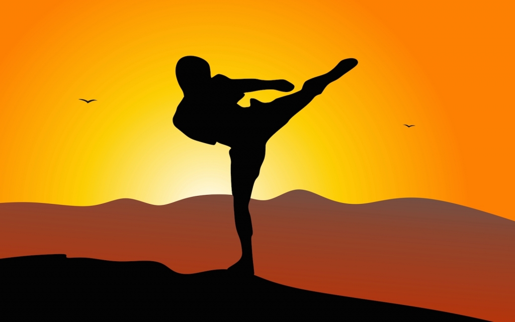 Learn inner strength from a true warrior—undefeated fighter and cancer survivor, Nadine Champion